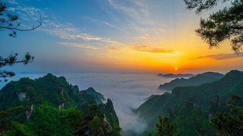 張家界森林公園（金鞭溪、袁家界、楊家界、天子山、十里畫廊）住山上2天1游（可看日出）